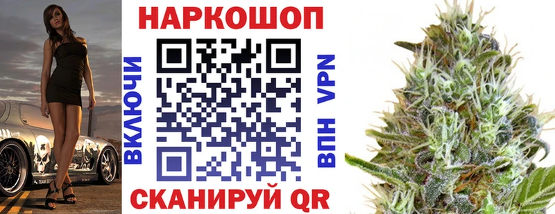 Где купить наркотики Злынка Лсд 25  ГАШ  Бошки Шишки  MEGA зеркало  A PVP  COCAIN 