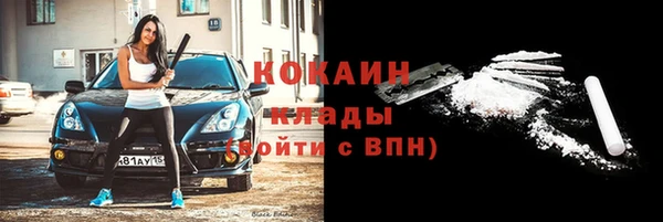 соль ск Алексин