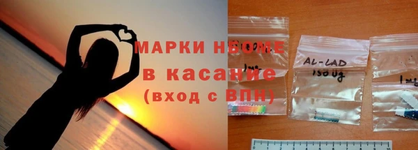 стаф Алзамай