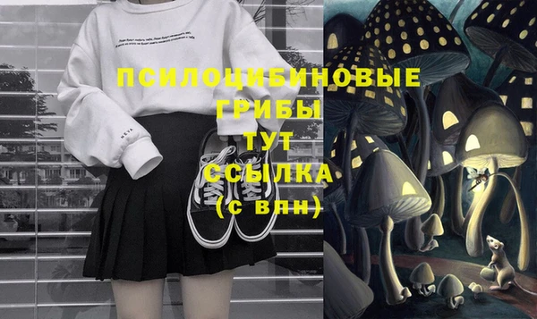 соль ск Алексин