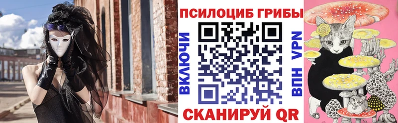 Псилоцибиновые грибы Psilocybine cubensis  Злынка 